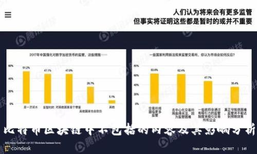 比特币区块链中不包括的内容及其影响分析
