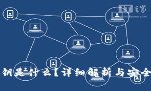 TP钱包密钥是什么？详细解析与安全管理指南