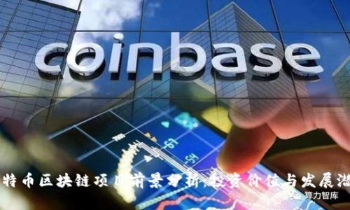 比特币区块链项目前景分析：投资价值与发展潜力