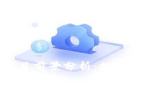 比特币区块链项目前景分析：投资价值与发展潜力