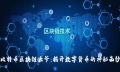 比特币区块链大爷：揭开