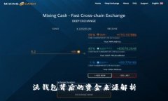 沃钱包背后的资金来源解