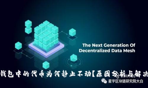 : TP钱包中的代币为何静止不动？原因分析与解决方案