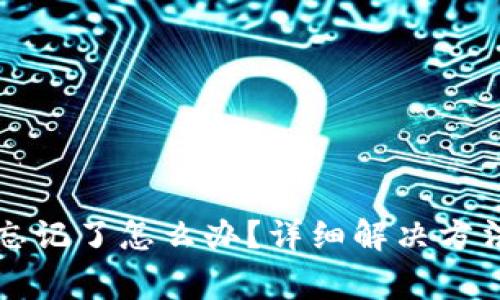 TP钱包付款密码忘记了怎么办？详细解决方法与常见问题解析
