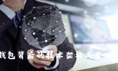 tP钱包背后的技术架构与开