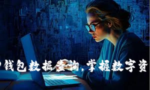 : 全面解析TP钱包数据查询，掌握数字资产管理新方法