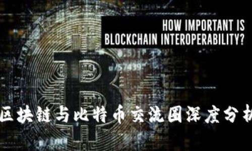 区块链与比特币交流圈深度分析