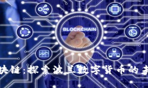 波兰币区块链：探索波兰数字货币的未来与影响