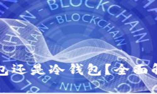 TP钱包是热钱包还是冷钱包？全面解析及使用指南