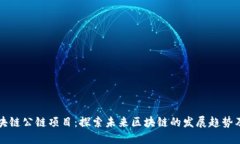 最新区块链公链项目：探