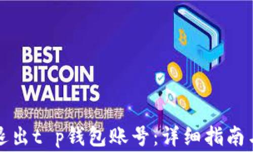 
如何安全退出t p钱包账号：详细指南与注意事项