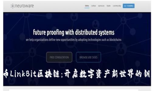 领币LinkBit区块链：开启数字资产新世界的钥匙
