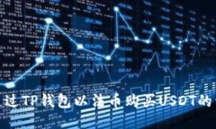 : 如何通过TP钱包以法币购