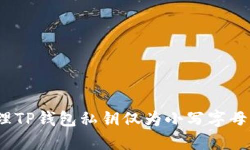 如何处理TP钱包私钥仅为小写字母的情况？