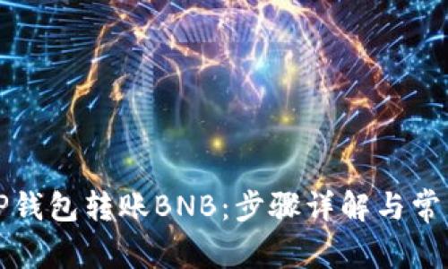 如何使用TP钱包转账BNB：步骤详解与常见问题解答