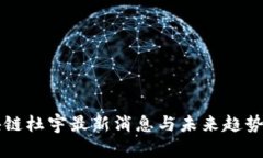 区块链杜宇最新消息与未