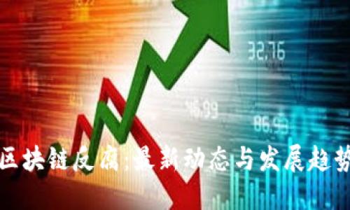 区块链反腐：最新动态与发展趋势