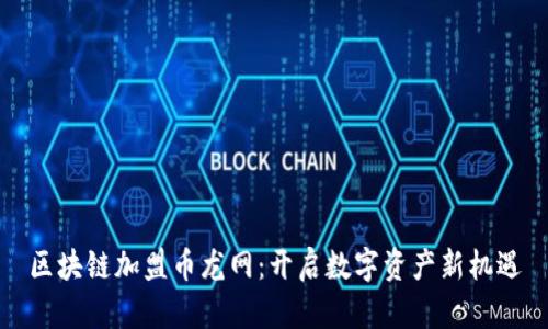 区块链加盟币龙网：开启数字资产新机遇