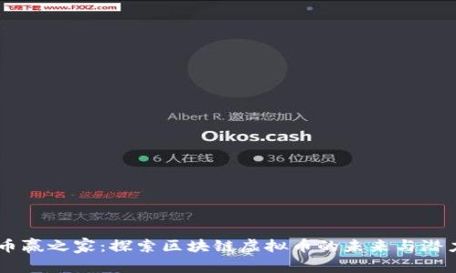币赢之家：探索区块链虚拟币的未来与潜力
