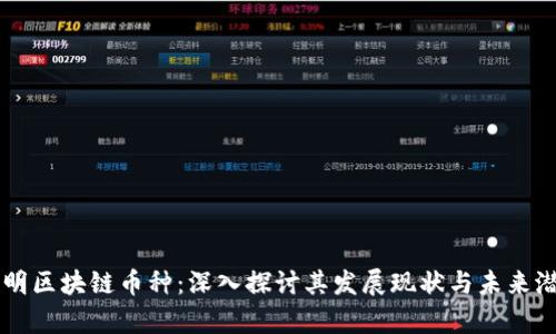 启明区块链币种：深入探讨其发展现状与未来潜力