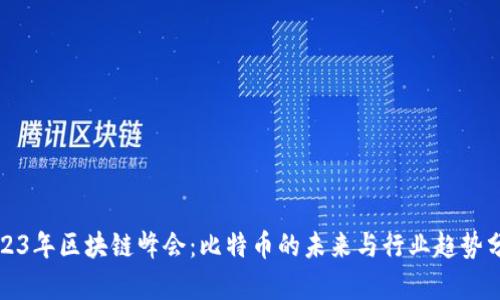 2023年区块链峰会：比特币的未来与行业趋势分析