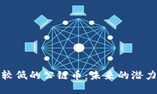 区块链市值较低的公链币：未来的潜力与投资机遇